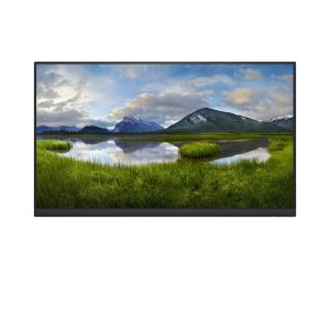 DELL P2422HE 238" | IPS 16:9 USB-C Monitor No Stand (1920X1080)HA | SW | PI | VGA | DP | HDMI | USB-C | VESA