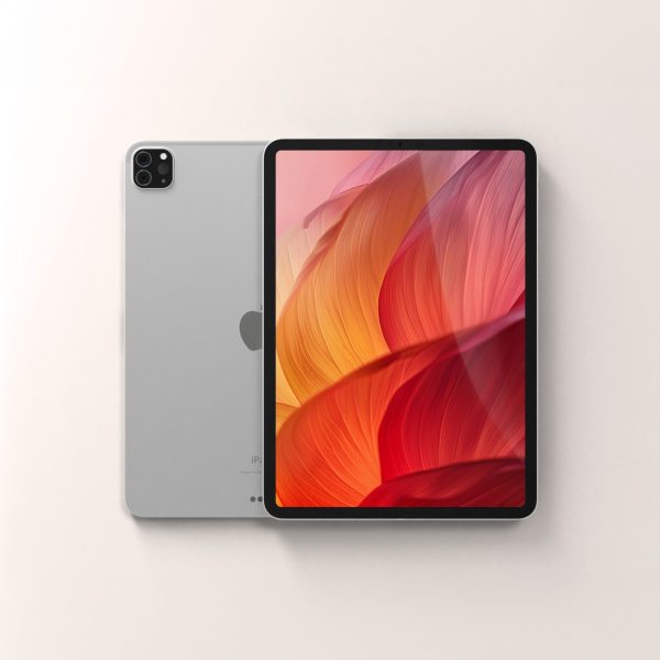 Apple iPad Pro 11" 2nd Gen (2020)